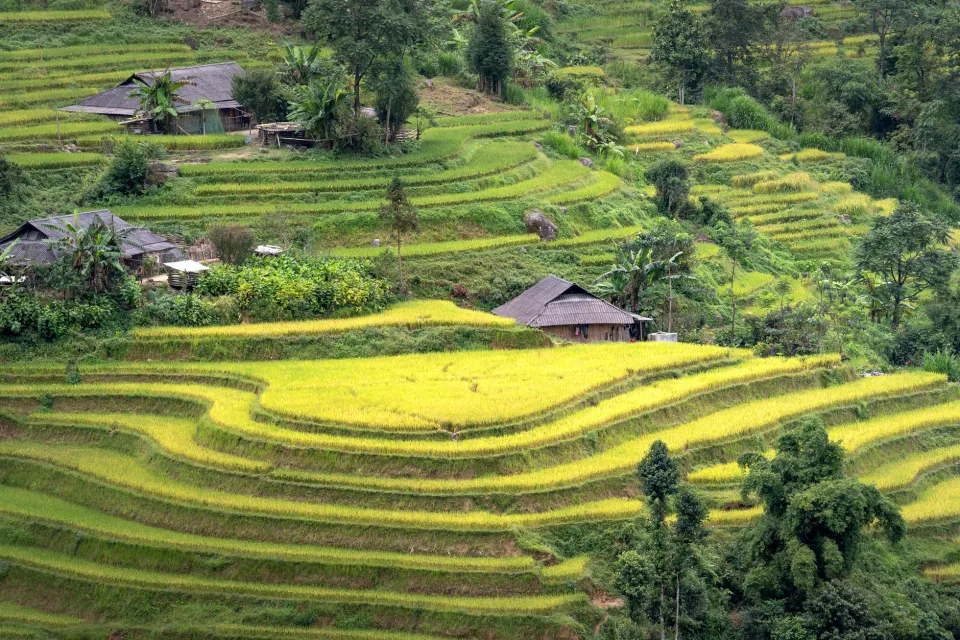 Kho gạo của Phan Lai